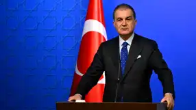 Çelik: Terör Örgütü Silah Bıraksın!